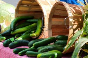 Read more about the article Cucumbers – Bursting With AllNaturWell Goodness