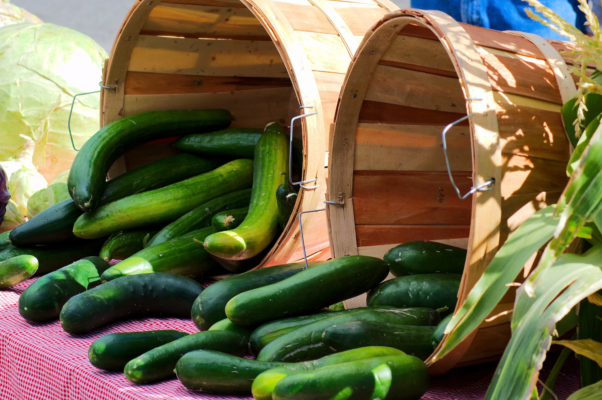 cucumbers in two baskets