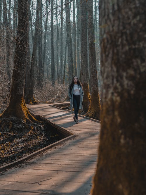 Woman walking a path in the woods for post Navigating a holistic path