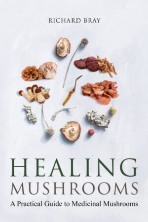 Healing Mushrooms