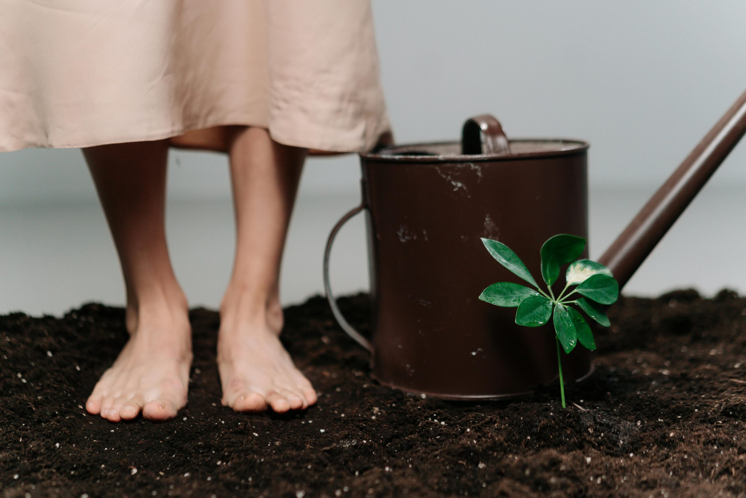 bare feet in dirt near a plant for Grounding for Mental Wellness post