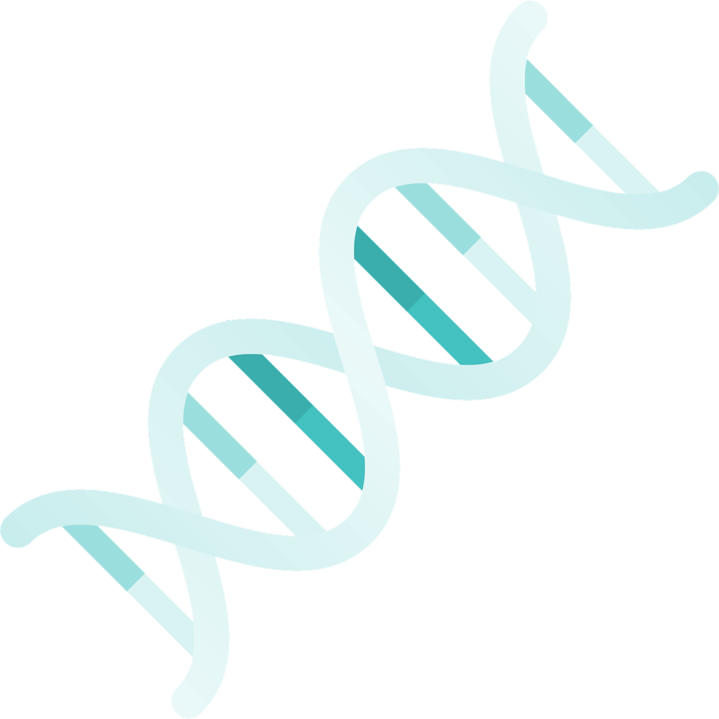 DNA stran for MTR Gene Mutation post