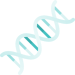 MTR Gene Mutation